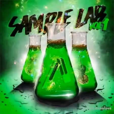 2DEEP Sample Lab Vol.1 [WAV, MiDi]
