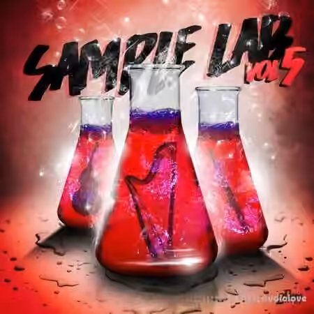 2DEEP Sample Lab Vol.5 [WAV]