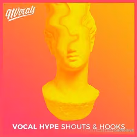 91Vocals Vocal Hype Shouts and Hooks [WAV]