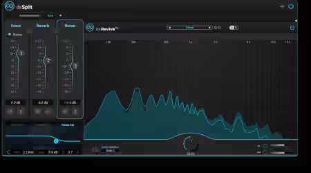 Accentize DxSplit v1.0.0 [WiN]