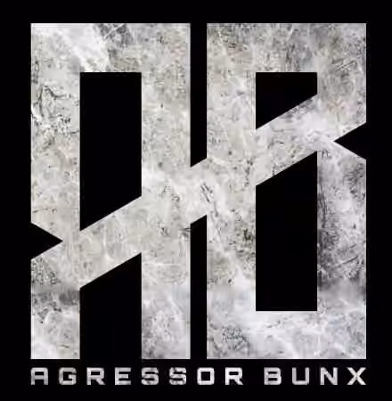 Agressor Bunx Drum n Bass Samples Patreon Pack Vol.1-10 [WAV]