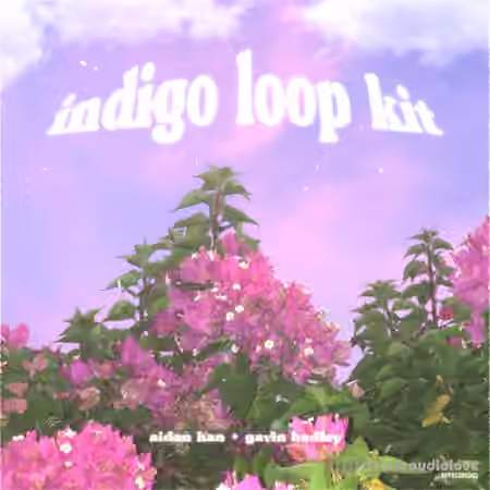 Aidan Han and Gavin Hadley Indigo [guitar loop kit] [WAV]