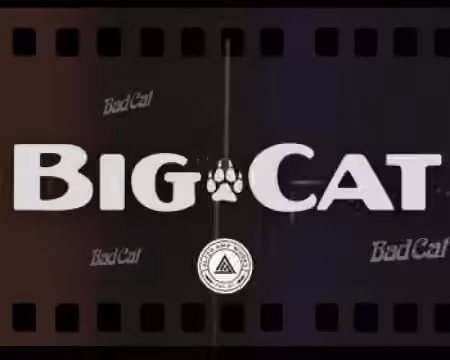 Alter Amp Works Big Cat Tonex Capture pack