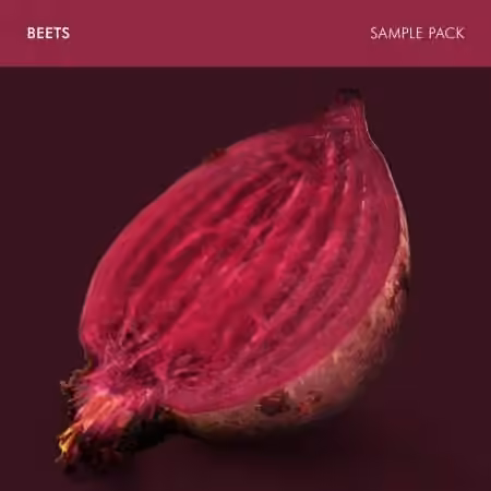 Andrew Huang Beets Sample Pack [WAV]