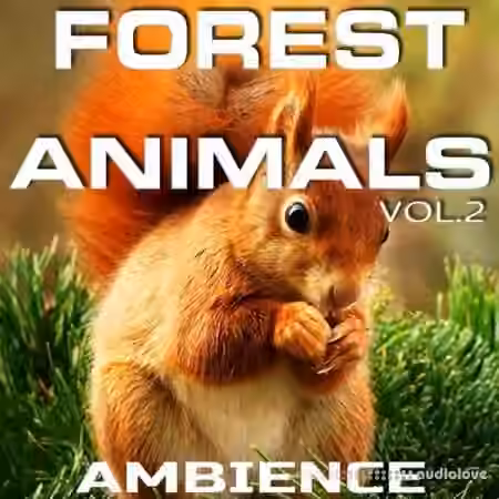 Animals Nature Sounds Forest Animals Ambience Vol.2 [FLAC]