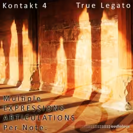 Aria Sounds Bansuri Flute [KONTAKT]