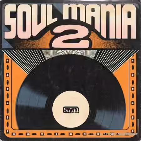 AYN Sounds Soul Mania Vol.2 Deluxe [WAV, MiDi, Synth Presets]