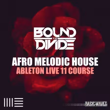 Basic Wavez Ableton Live 11 Course: Afro Melodic House Start To Finish With Bound to Divide [TUTORiAL]