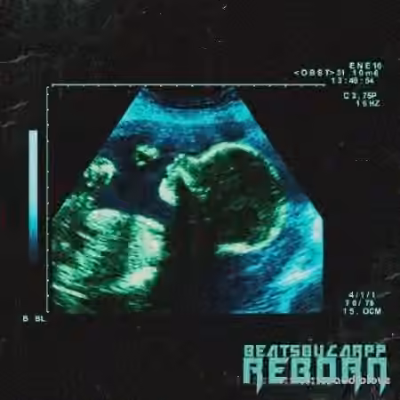 beatsbycarpp Reborn [WAV]