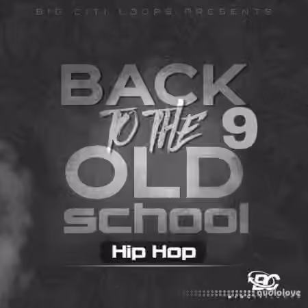 Big Citi Loops Back To The Old School: Hip Hop 9 [WAV]