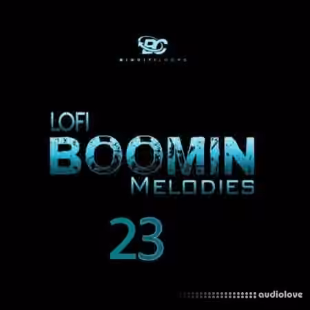 Big Citi Loops Lofi Boomin Melodies 23 [WAV]