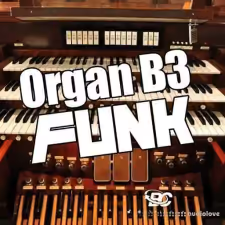 Big Citi Loops Organ B3 Funk [WAV]