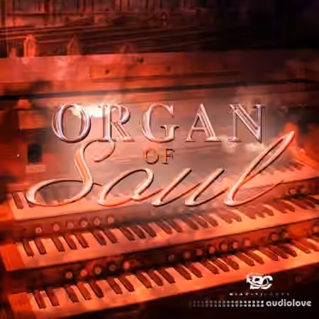 Big Citi Loops Organ Of Soul [WAV, MiDi]