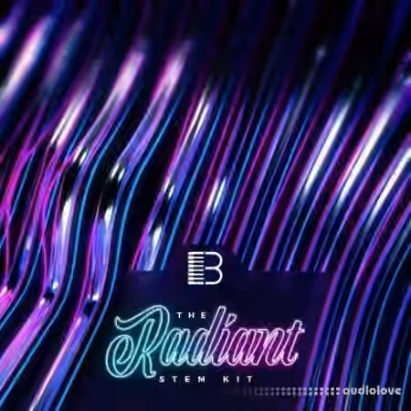 Big Citi Loops Radiant Loop Pack Vol.1 [WAV]