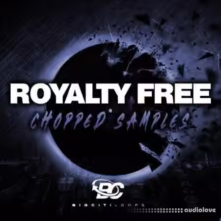 Big Citi Loops Royalty Free Chopped Samples [WAV]