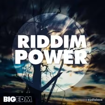 Big EDM Riddim Power [WAV, MiDi, Synth Presets]