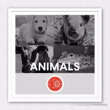 Big Room Sound Animals [WAV]