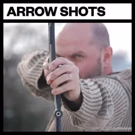 Big Room Sound Arrow Shots [WAV]