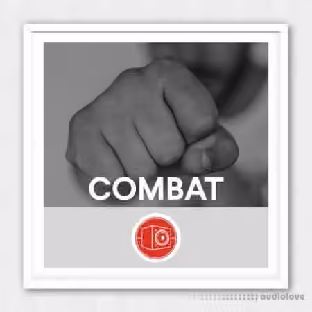 Big Room Sound Combat [WAV]