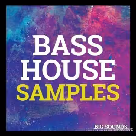 Big Sounds Bass House Samples [WAV, MiDi, Synth Presets]