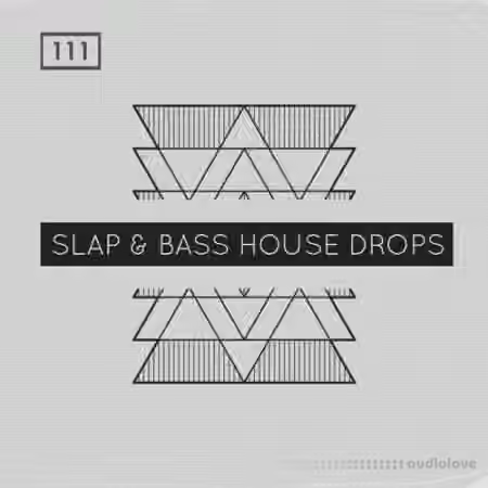 Bingoshakerz Slap and Bass House Drops [WAV, MiDi, REX]