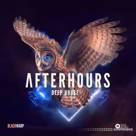 Black Octopus Sound Afterhours Deep House [WAV]