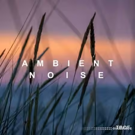 Blue Diamond Musiq Ambient Noise [WAV]