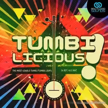 Bollywoodsounds Tumbilicious Tumbi Loops [WAV, REX, AiFF]