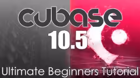 Born To Produce Cubase 10.5 Beginers [TUTORiAL]