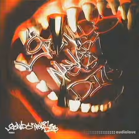 Bsterthegawd WHY NOT KILL? Drumkit [WAV]