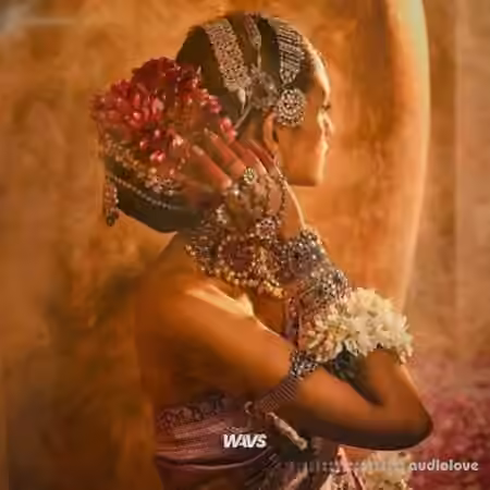 Claro Beats Indian Pop Hit [WAV]