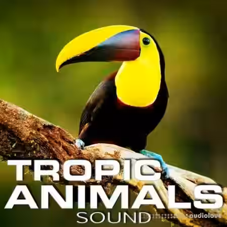 Cloud Nine Records Tropic Animals Sound [FLAC]