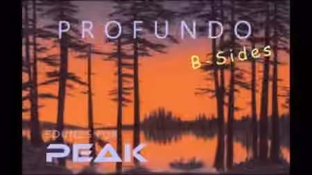 CraigZSounds Profundo 64 Patches for Novation Peak [Synth Presets]