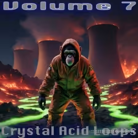 Crystal Distortion Crystal D's Crystal Acid Loops [WAV]