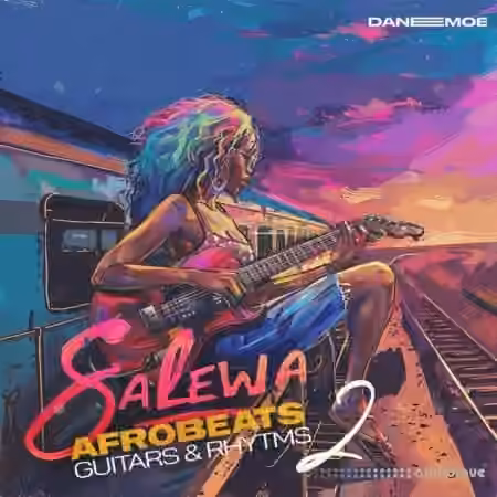 Daneemoe Salewa Vol 2 Afrobeats Guitars And Rhythms [WAV]