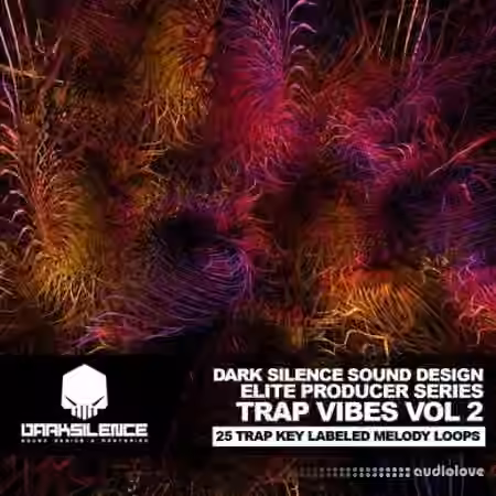 Dark Silence Sound Design Trap Vibes Volume 2 [WAV]