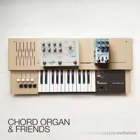 David Hilowitz Chord Organ and Friends [Patreon Exclusive] [Decent Sampler] [Synth Presets]