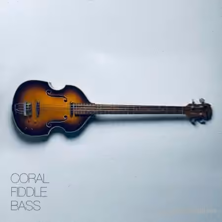 David Hilowitz Coral Fiddle Bass v1.0.1 [Synth Presets]