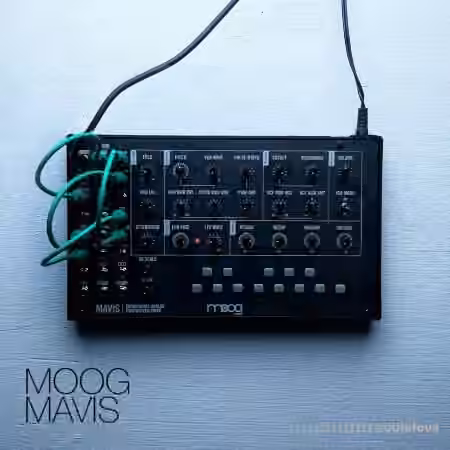 David Hilowitz Moog Mavis + Experiments [Patreon Exclusive] [Decent Sampler] [Synth Presets]