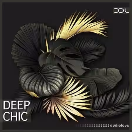 Deep Data Loops Deep Chic [WAV, MiDi]