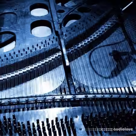 Detunized Rolfing Laid Back Vol.2 [MULTiFORMAT]