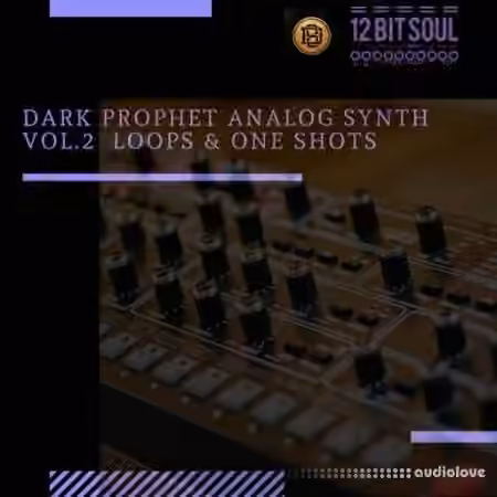 Divided Souls Dark Prophet Analog Synth Vol.2 [WAV]