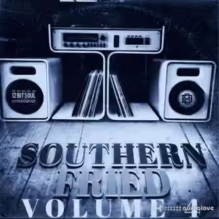 Divided Souls Southern Fried Volume 4 [WAV]