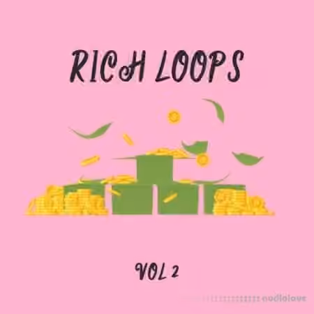 DiyMusicBiz Rich Loop Vol.2 [WAV]
