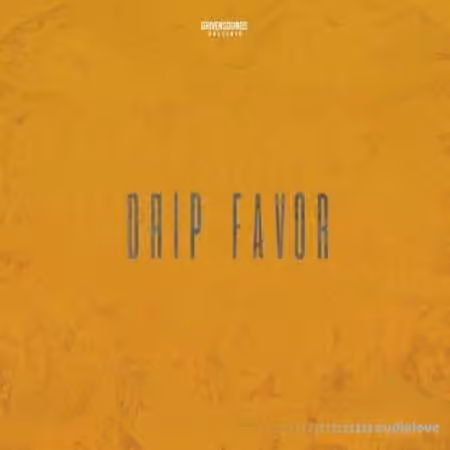 DRIVENSOUNDS DRIP FAVOR [WAV]