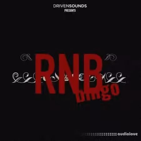 DRIVENSOUNDS Rnb Bingo Loops [WAV]