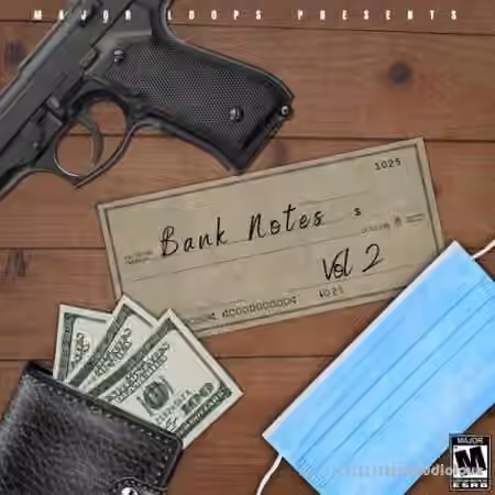 Dynasty Loops Bank Notes 2 [WAV]