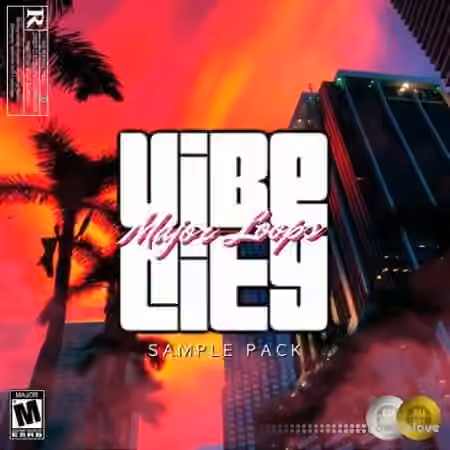 Dynasty Loops Vibe City [WAV]