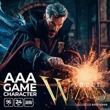 Epic Stock Media AAA Game Character Adult Wizard [WAV]