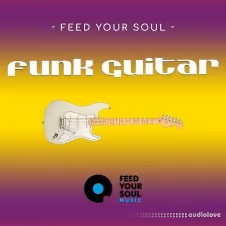 Feed Your Soul Music Feed Your Soul Funk Guitars [WAV]